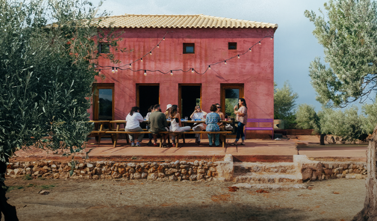 Culinary journey & olive oil delights 