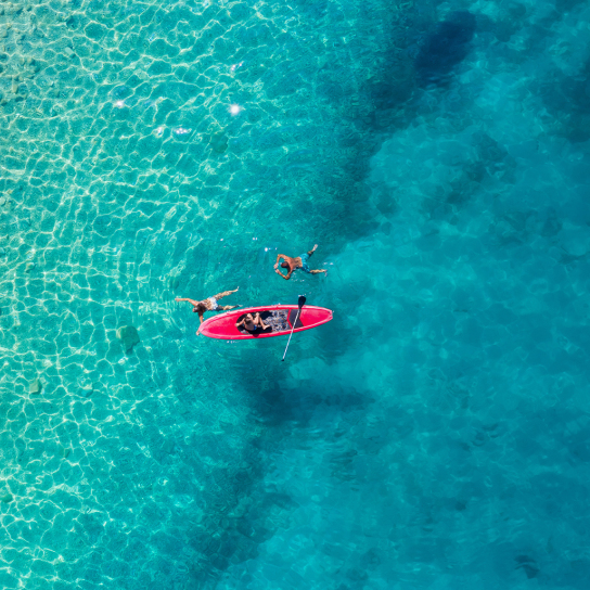 Discovering Paxos Island with Kayak