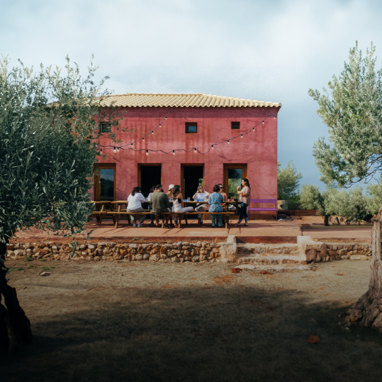 Culinary journey & olive oil delights 